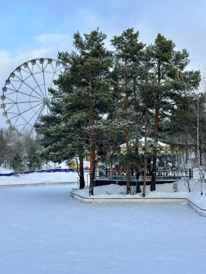 «Ледяное спецпредложение»
