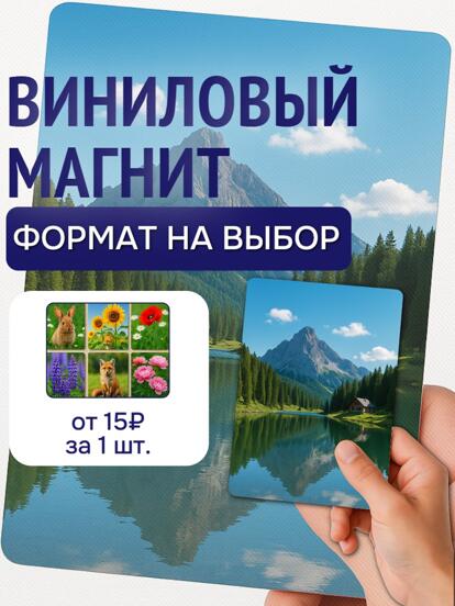 Виниловый магнит с любым изображением  